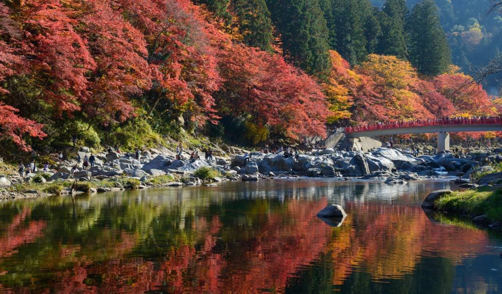 🍁 고란케이 계곡(코란케이) 이미지 9